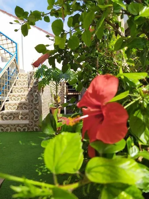 Villa Home Virgen Bien Aparecida - Entire House Malaga